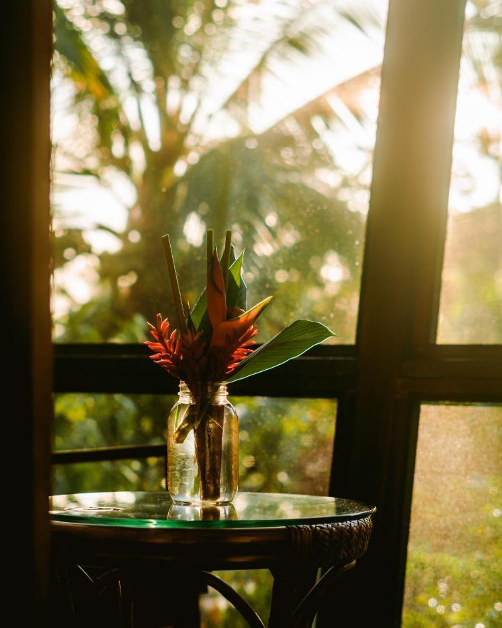 Roam Yoga & Wellness Lodge Bocas del Toro Exterior foto