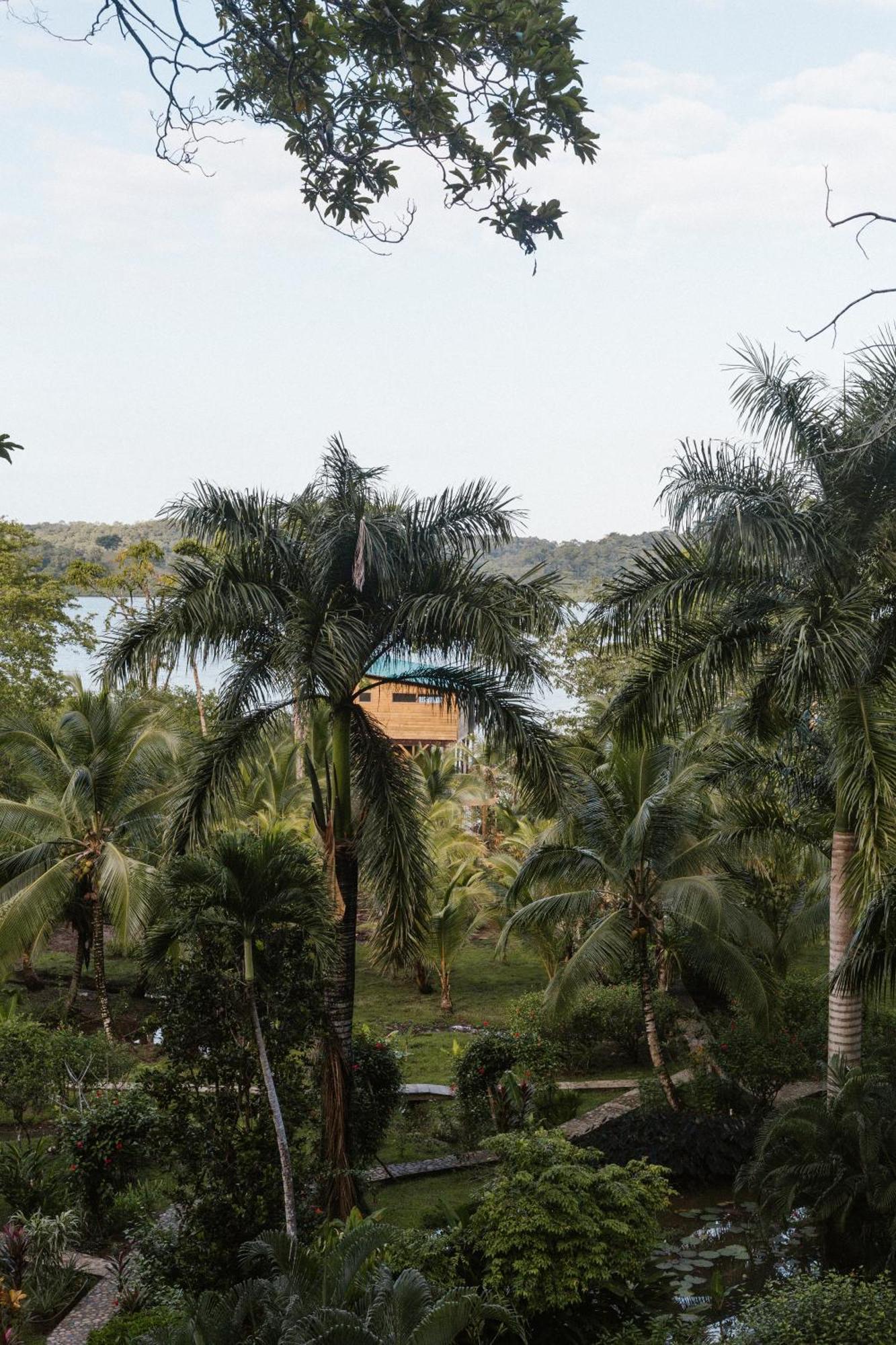 Roam Yoga & Wellness Lodge Bocas del Toro Exterior foto