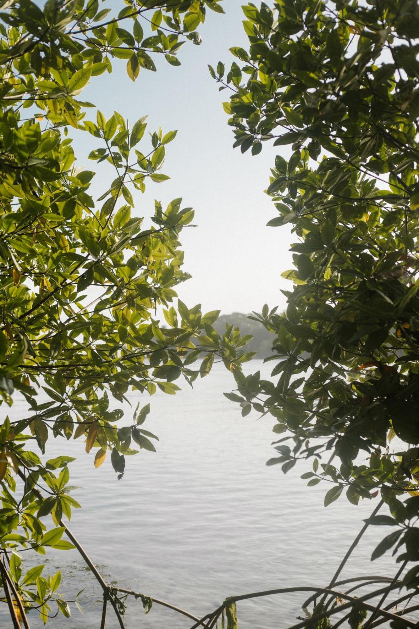 Roam Yoga & Wellness Lodge Bocas del Toro Exterior foto